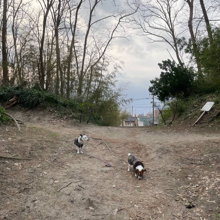 8d1caf2f 5232 442a 9284 66bd87ac410c 1771200632113