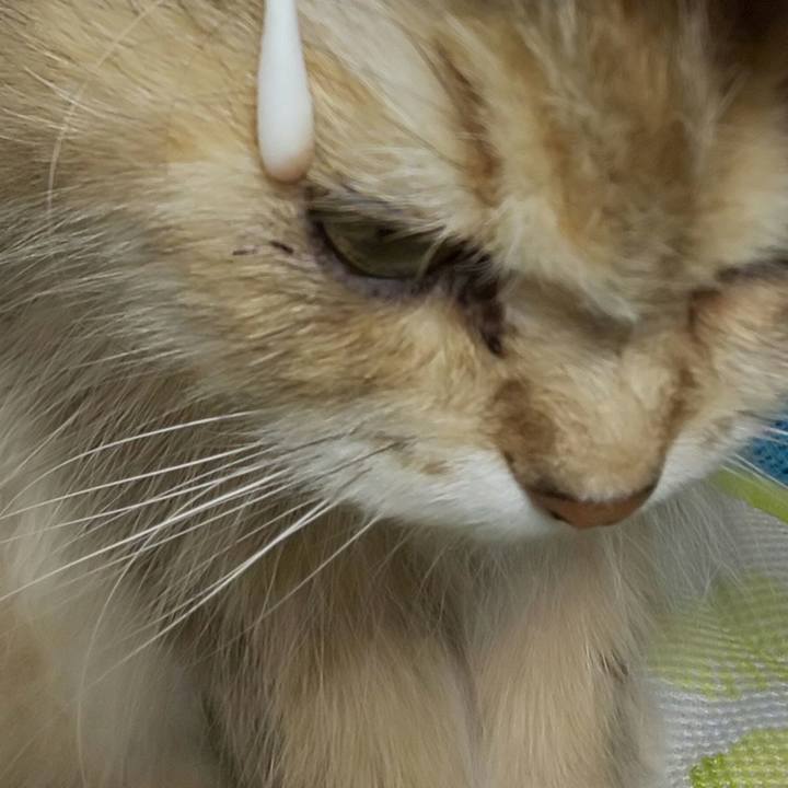 8d1cd0bf 3159 40d7 8a6b f0c26179d2e0 1624540116098