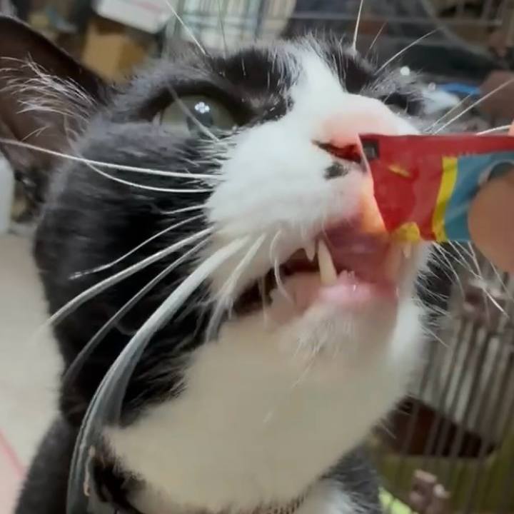 8d1cdd24 a040 4f59 83a0 9d723147bda9 1754736109995