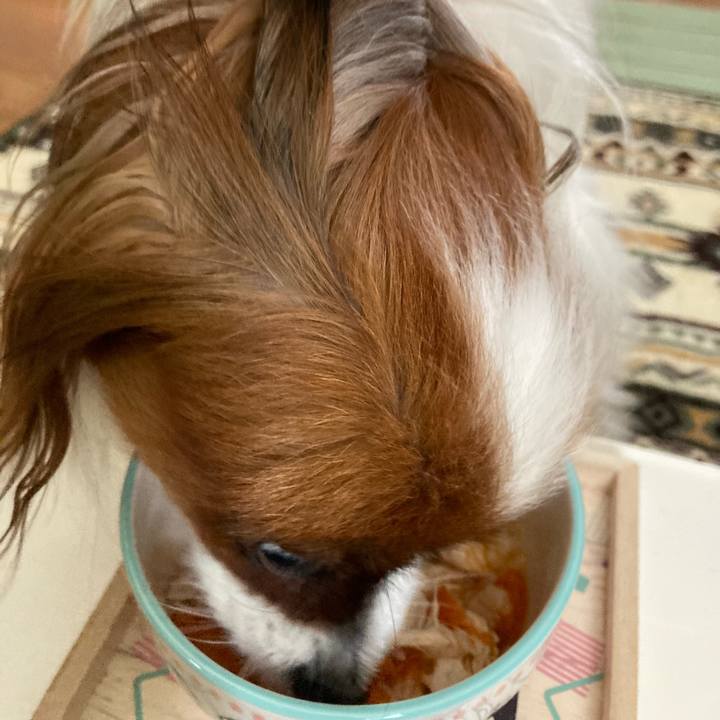 8d1d3597 6c94 4e8a a937 1b51fe9fb69c 1633322232391