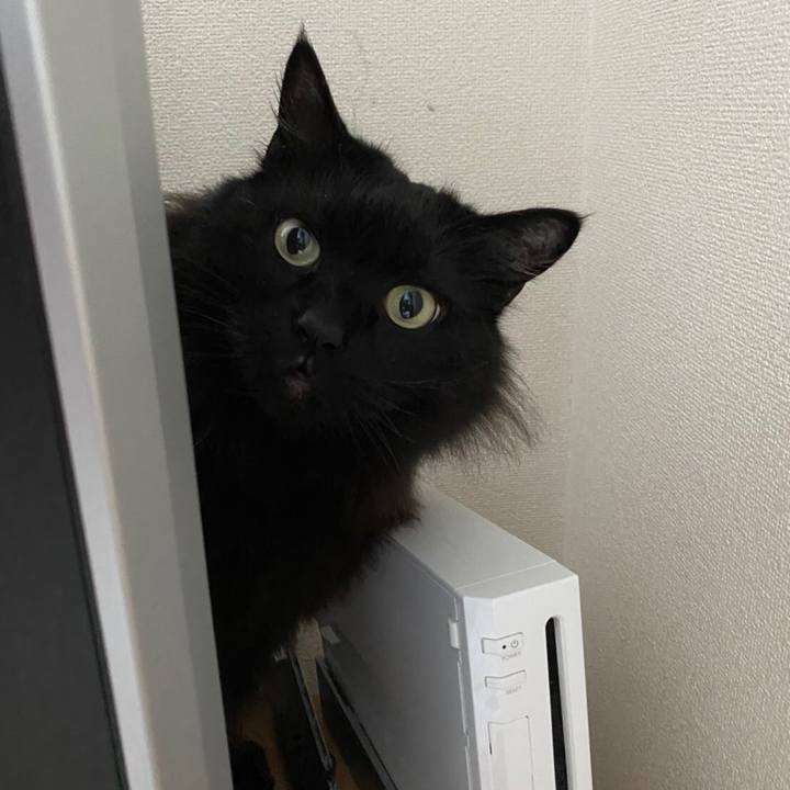 8d1d41a8 b375 41bf a447 7874179284b8 1583061287012