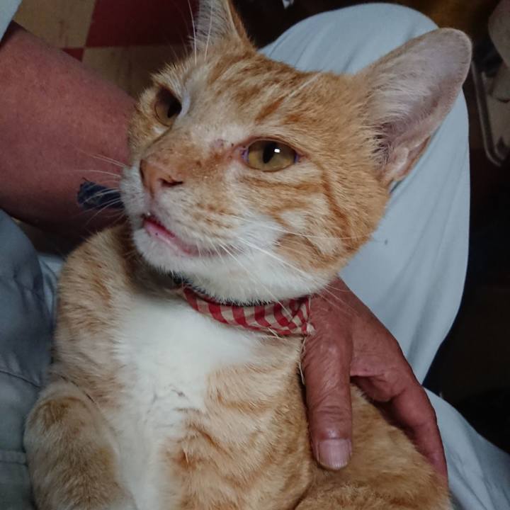 8d1d5371 1973 4a84 87fa 5051885824a3 1562795994808