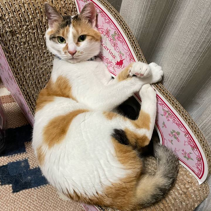 8d1d5dc4 c9a8 4ef9 b36b e505eef4a550 1688307459849