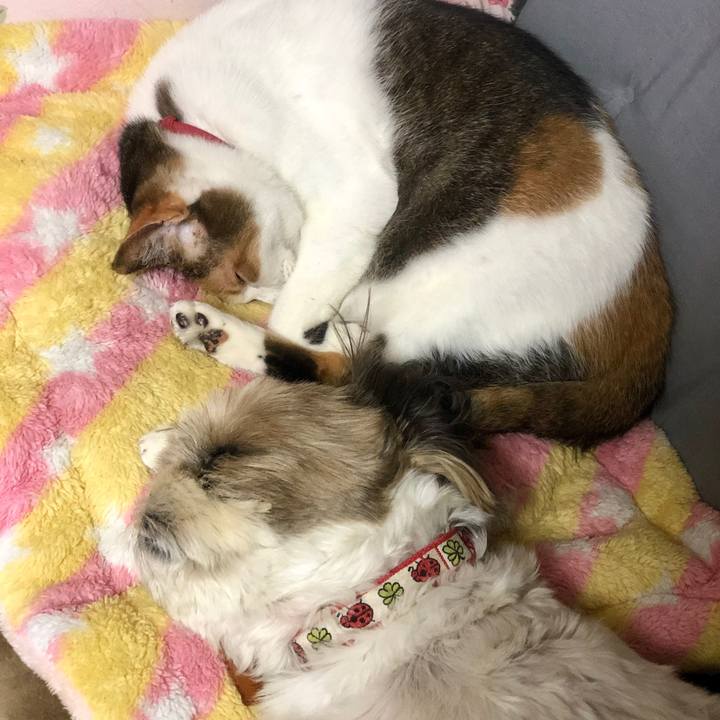 8d1da023 41e6 4b8f 99bb f0e2a395f96c 1586699424046