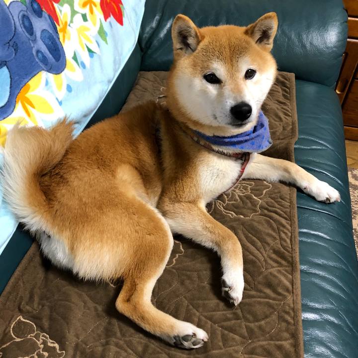 8d1db0ca 0594 40ef 875e 15834a017291 1558089973988