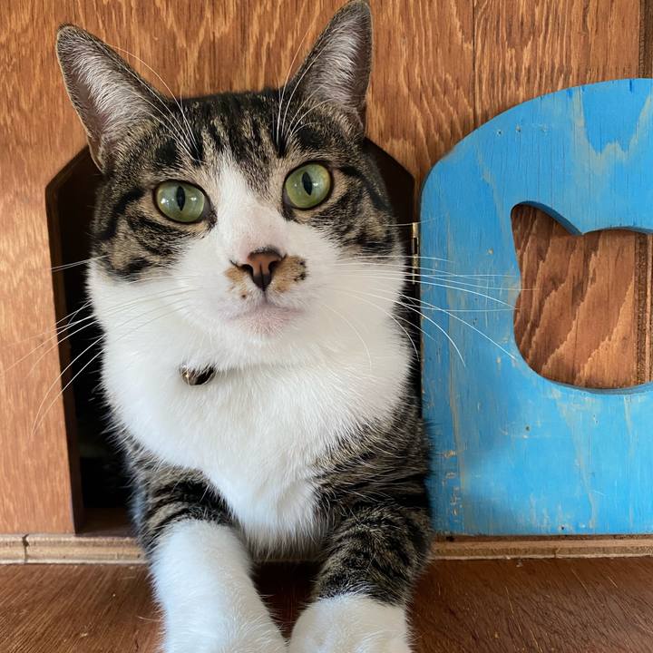 8d1db0ff 4c9d 4808 984a 55b64e671854 1729217304451