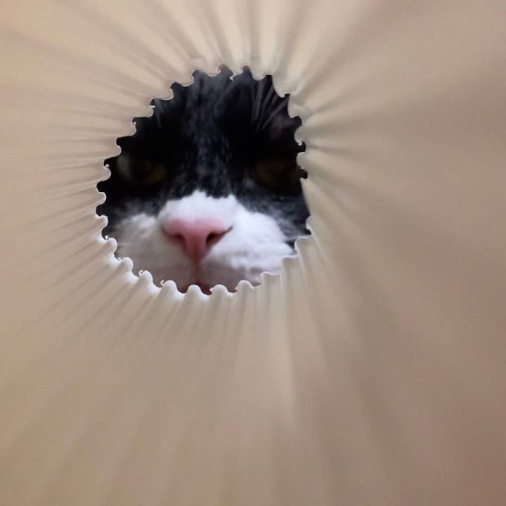 8d1dc623 f8c6 4e07 b47b 7365516c7ac2 1647921696351