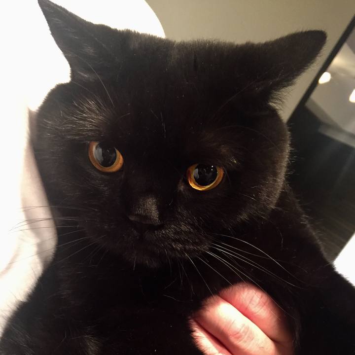 8d1dd584 e0a5 47cc ad18 3b9ebc786336 1589898223363