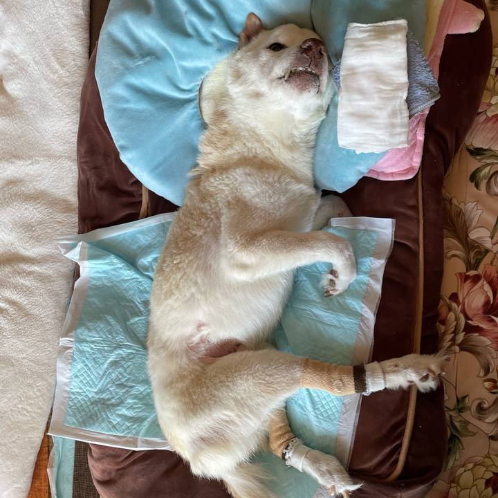 8d1e339d 5752 4ee4 8f32 78fc54a668fe 1677469757092