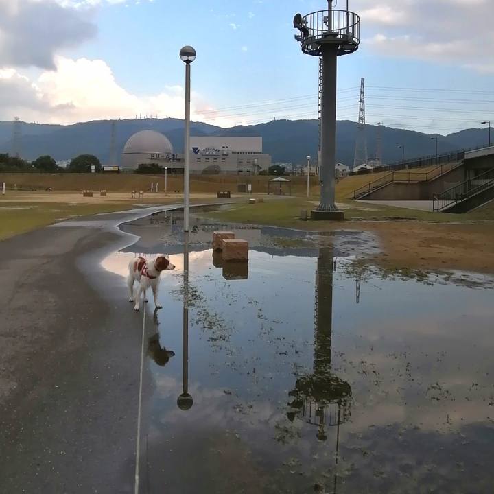 8d1e37f2 6e66 4aef 9474 6793fe1323a6 1603440046889