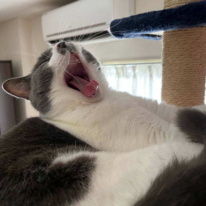 8d1e3c42 0c3a 41b7 84a3 2a083578d666 1662445815799