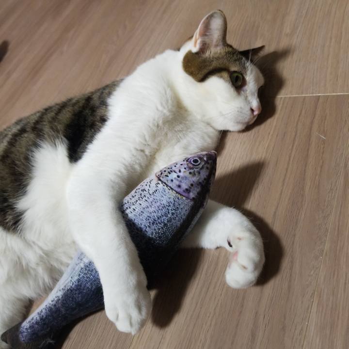 8d1e5106 132d 4099 ba18 6e91f02d86fd 1578950099564