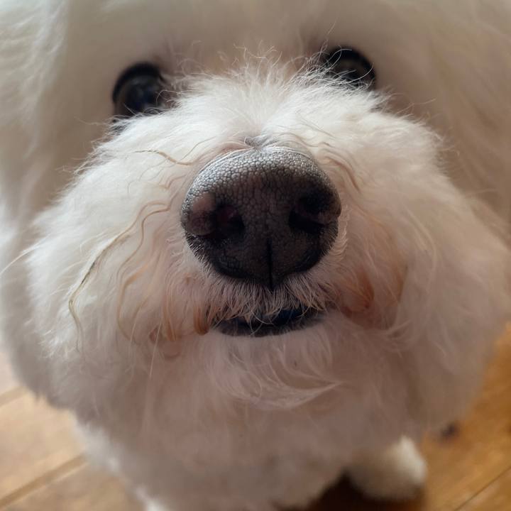 8d1e58bb ef32 4ebf a320 64c67e6ed479 1621980615998