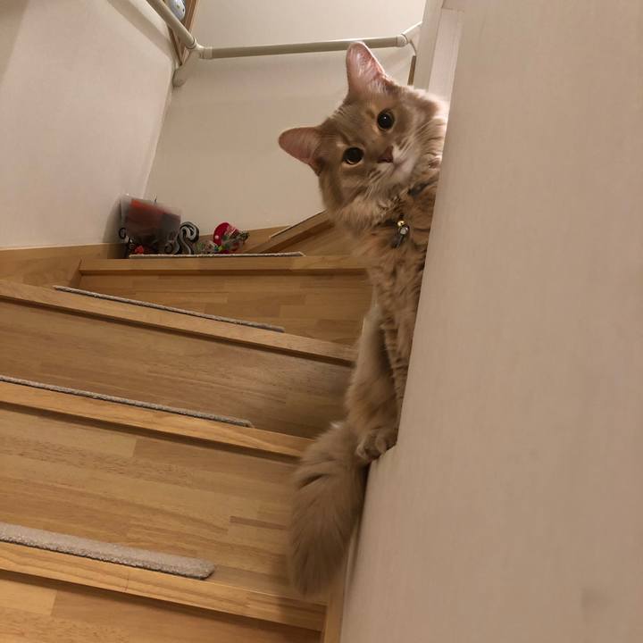 8d1e9413 7408 46d1 8dfc 43389ba62c2f 1612278700653