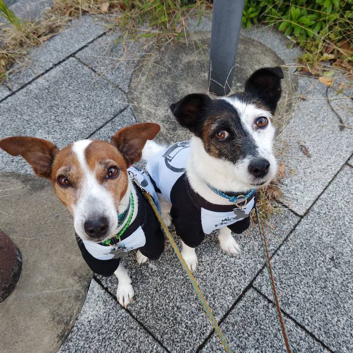 8d1ea405 3d2d 4fef bb99 77ce70fd708c 1731362351504