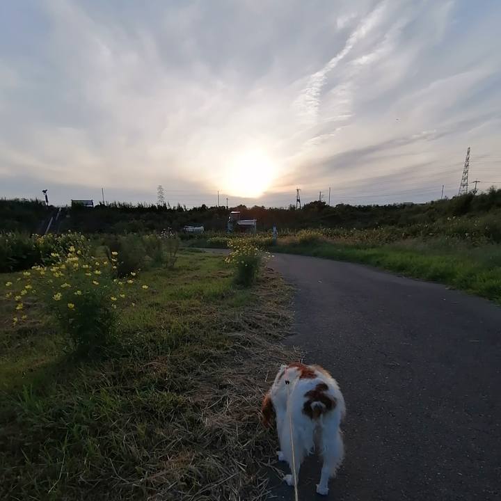 8d1ebd04 75e4 48cc 9f3c cde238178598 1600681189220