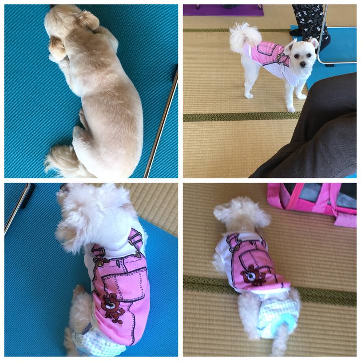 8d1ed267 e17a 4674 a227 a3045de34356 1524461690113