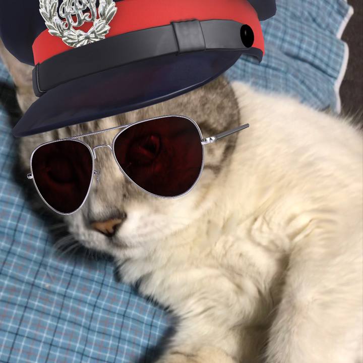 8d1edeca 1e71 4078 b6ac bf6ba8bfd69b 1566654007281