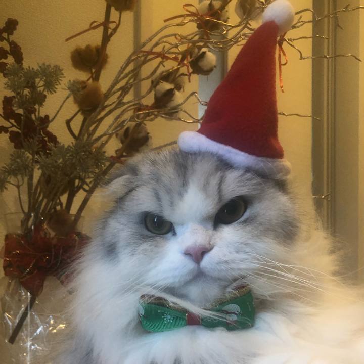 8d1f05b1 7c64 4399 86d7 4e9788109956 1640393690546