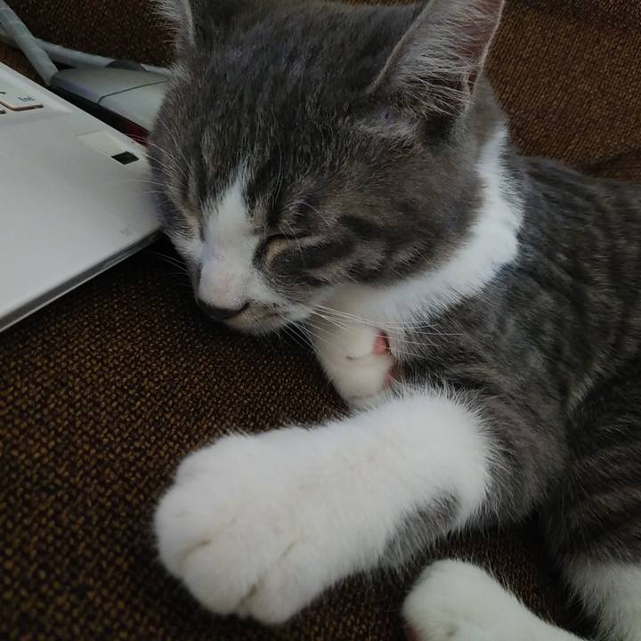 8d1f06fb 5768 43c4 beed ee62ecef986b 1567759523770