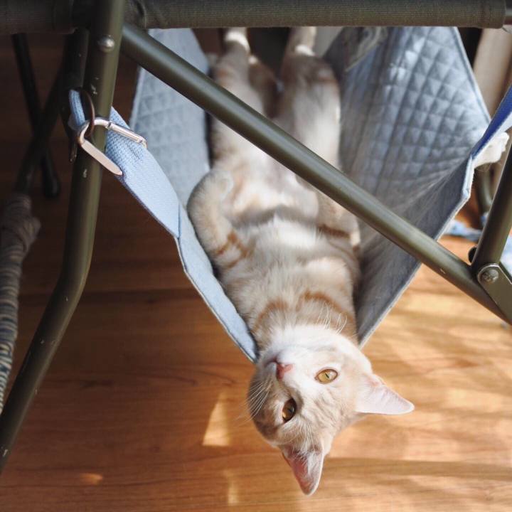 8d1f28e8 7382 4633 a2e0 4806693ed86f 1558070500722