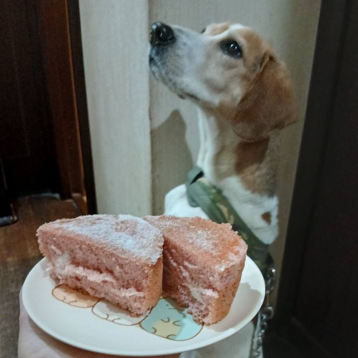 8d1f5426 c24d 48de a114 427f53eab262 1768737868031