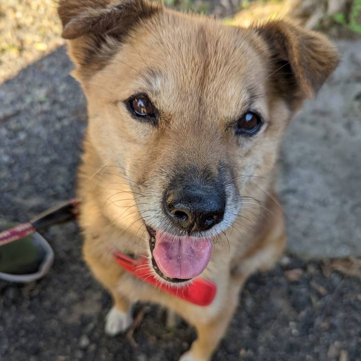 8d1f6b60 3d70 4334 a6a5 6319f8cb222b 1664631336339