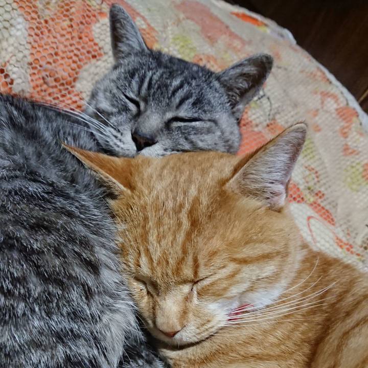 8d1f7f0e fc45 48a3 9899 aa8347d8b636 1573914271259