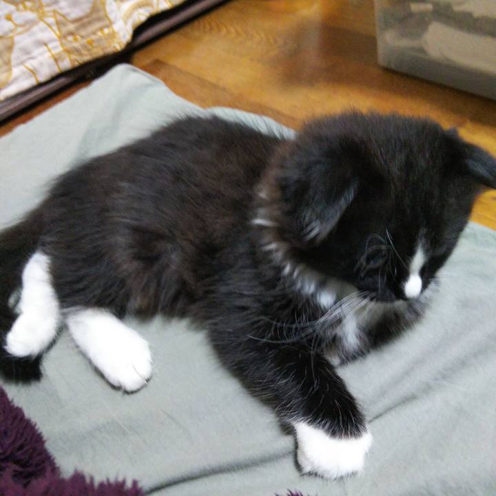 8d1faebd 1fd2 4f8b 9fbb c269b48960d8 1638879804330