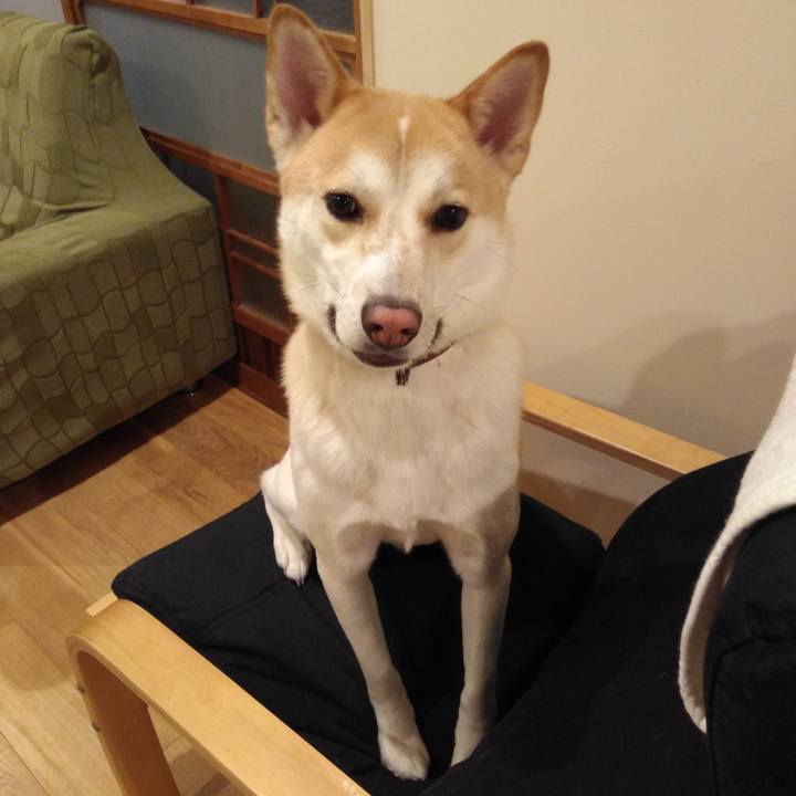 8d1fc97e 801b 48f9 9588 c2b190eca8fb 1515575088987