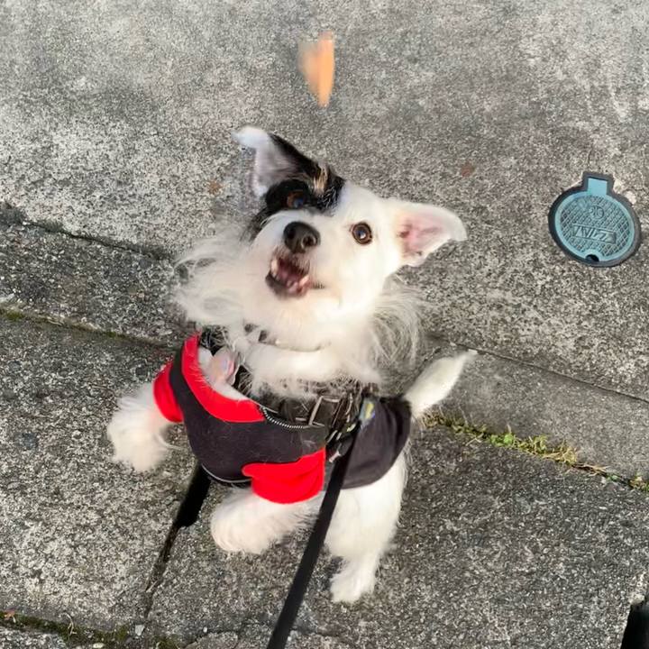 8d1fca0a b2b3 4e8b 898d 27babaa0207f 1667204223835