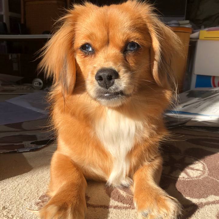 8d1fd7b3 53e9 4b34 8f59 9180fc231c87 1512867503298