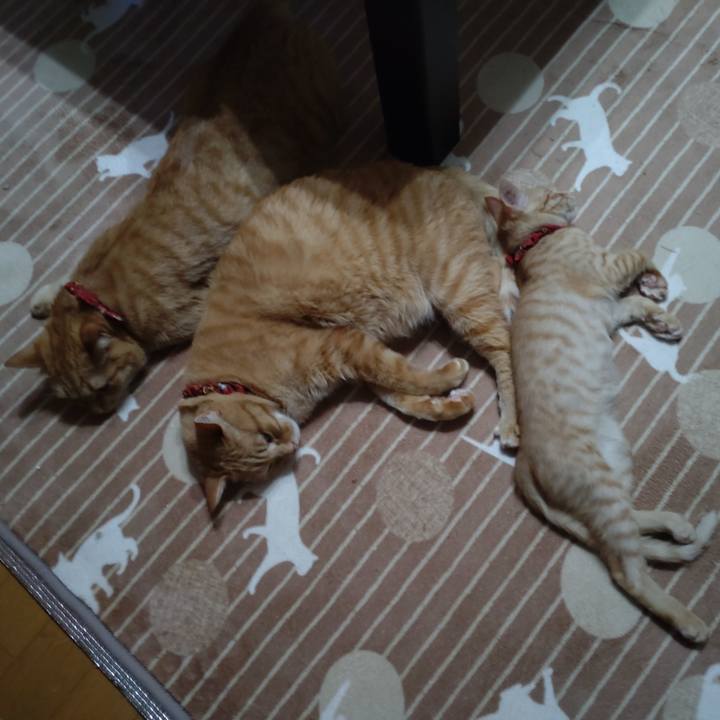 8d1fe922 a962 4cbc 9747 7c234551ef88 1672992832666