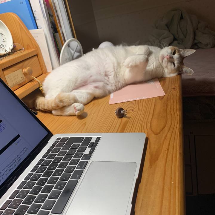 8d202e3a be75 462c 86d3 e482ac96d84a 1643290155146