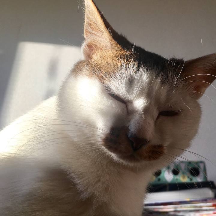 8d2052e9 7bc3 4204 af43 e23877d146e6 1544746619409