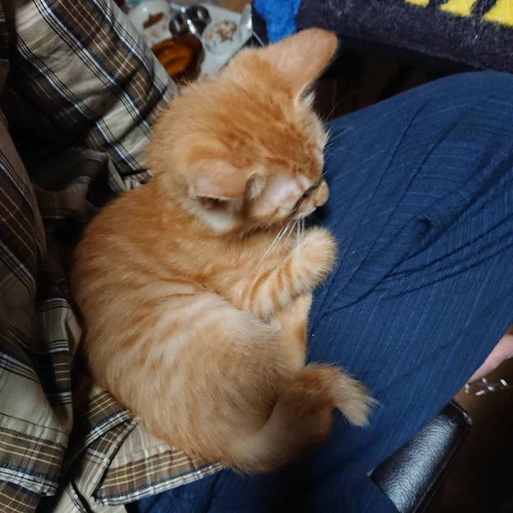 8d20692f 8c42 46ef 95d2 c0bae7ff1087 1631221555766