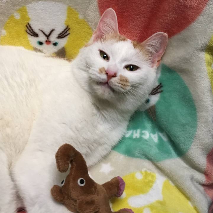 8d20a3ff 9e0f 43b0 8a9b 4d4ac4c5122c 1516549529664