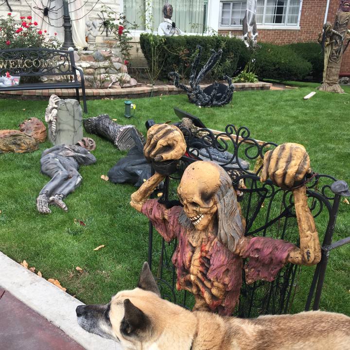 8d20cae3 a106 4ccd 9db1 580e412887a8 1509410984827