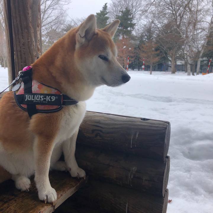 8d20e090 55a1 4f8b 9c0a b5990abcd98c 1582430674142