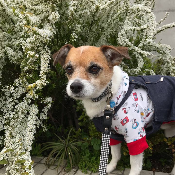 8d20e9af bd67 45a2 a46d 24d68b888d5e 1552809025559