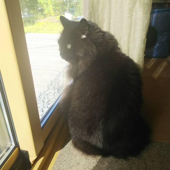 8d211507 b19b 473c b302 9fa3249d5d0c 1537657912850