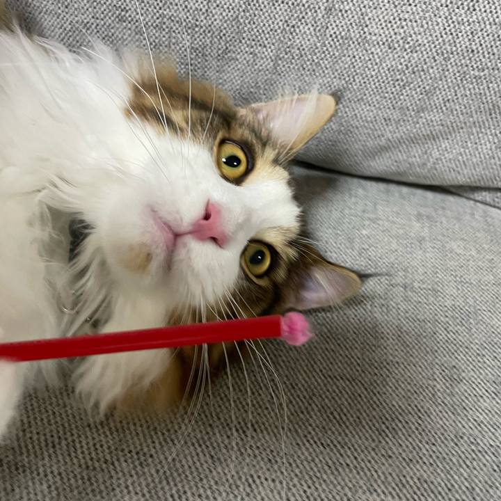 8d212c98 b42e 4157 9390 1c799c023d24 1642024356328