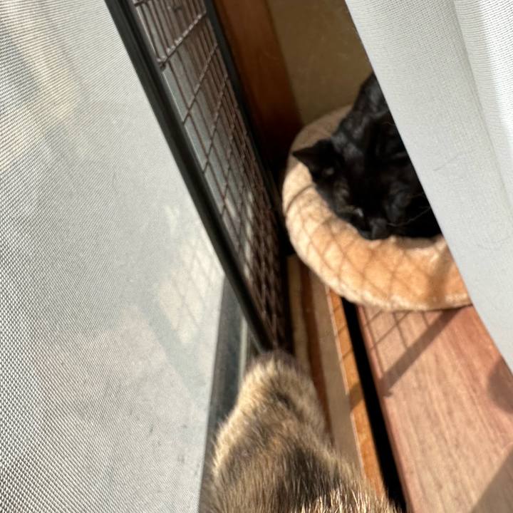 8d2165a6 a0ac 4f9f a4f3 419c854017eb 1712023368693