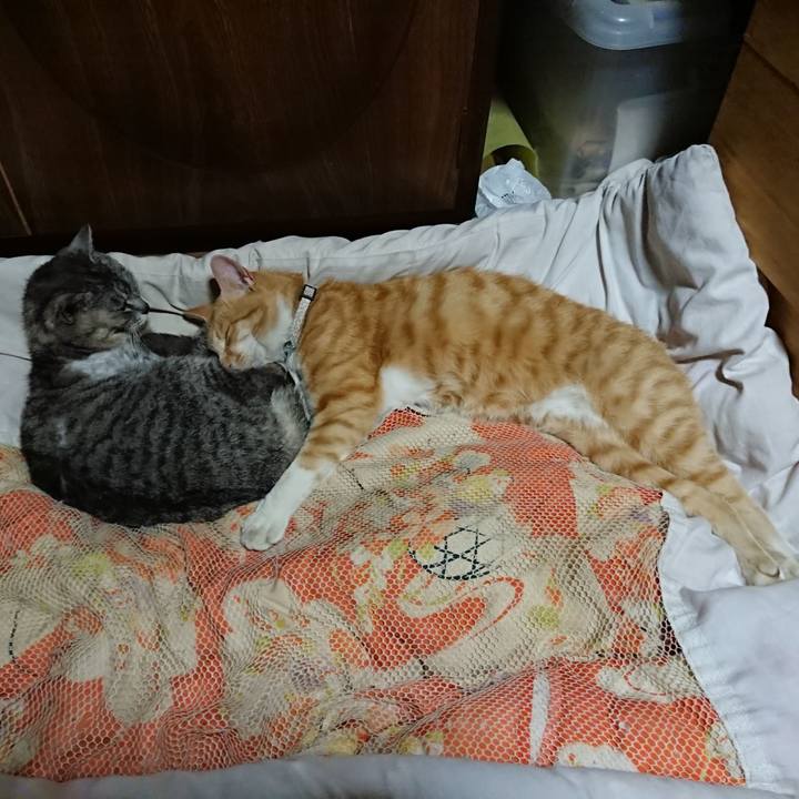 8d2179e7 a3b8 44b3 a4f4 6c2e74cf1c99 1591277162952