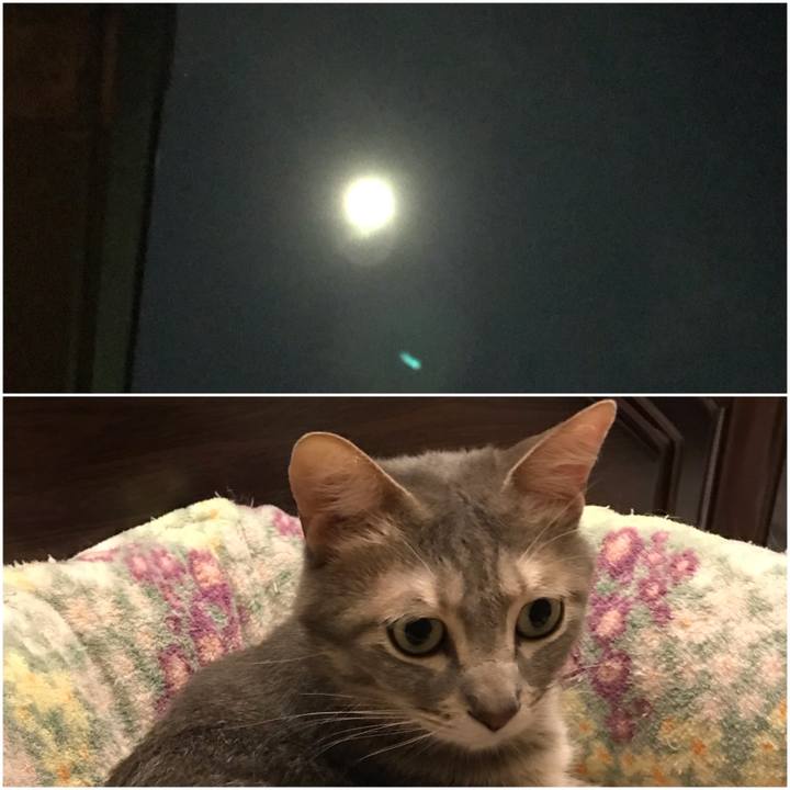 8d2192bf d4e9 4830 87fa f16f27f56a7f 1604151432898