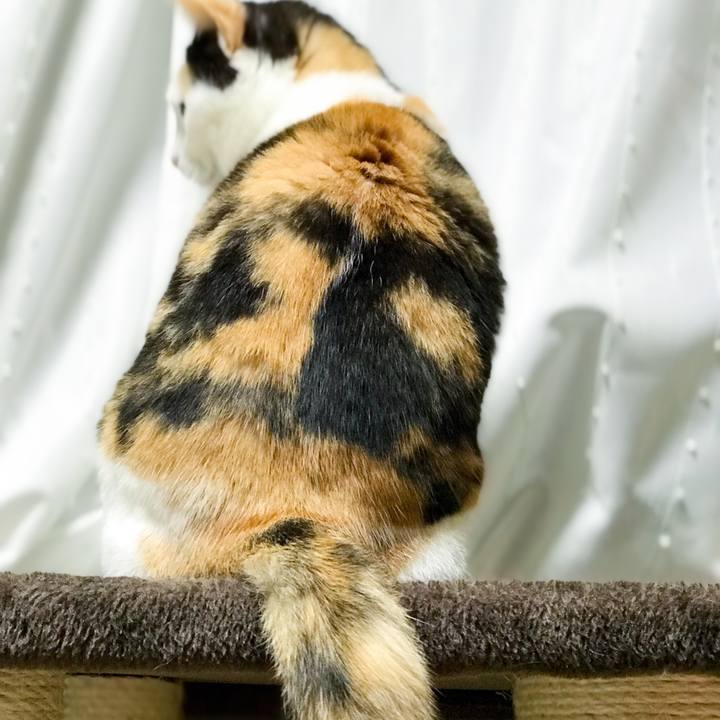 8d220a77 32e0 4f1b 872b eed49944c88d 1526306004849