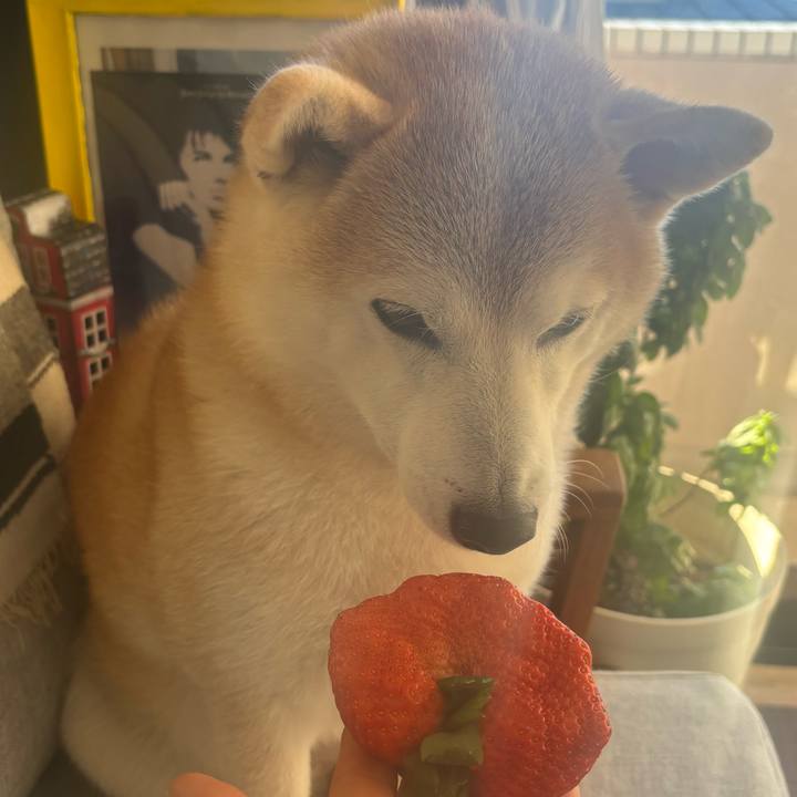 8d2228ce 3b5d 4194 ab7c a6035d38f4ec 1737157059153