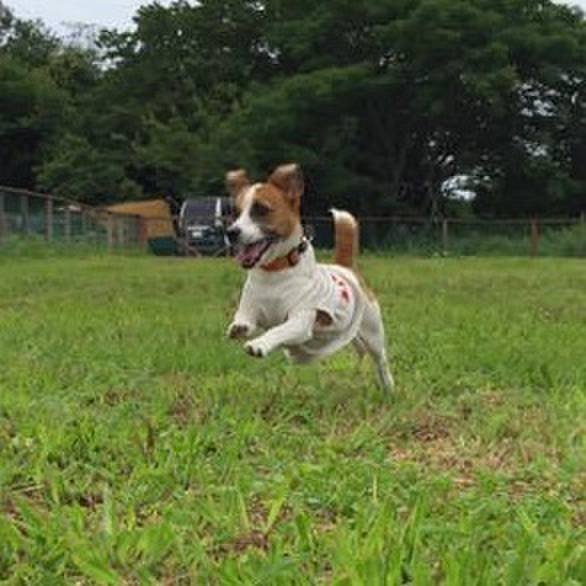 8d226543 b83d 44ca abcd 43dc61c8728c 1655611862130