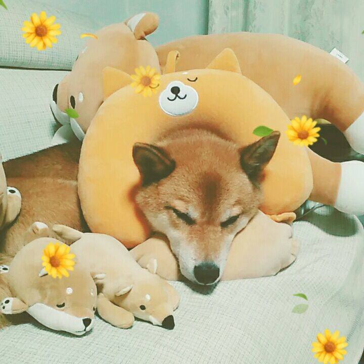 8d227e67 0b22 4c89 8636 96da4a7c0309 1566134502772