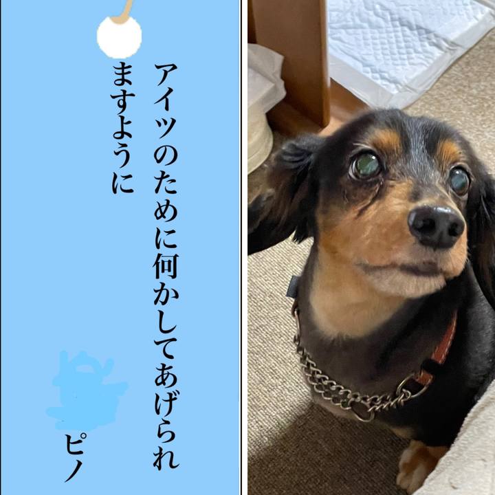 8d22d054 ce86 43dd bc17 8f34159cea35 1625573114763